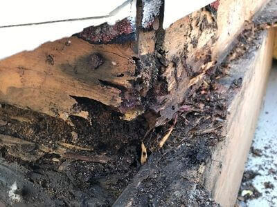 Professional water damage restoration services in Poleline Estates - Water Damage Restoration Poleline Estates